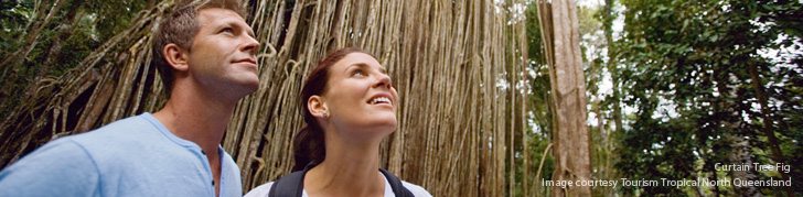 Bushwalking - Walking Circuits & Tracks